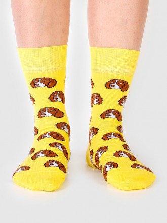 Жёлтые носки